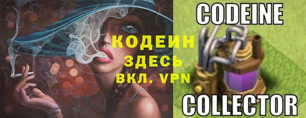 прущие грибы Медногорск