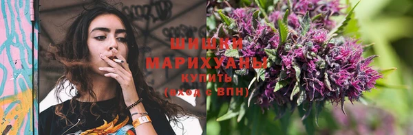 spice Богданович
