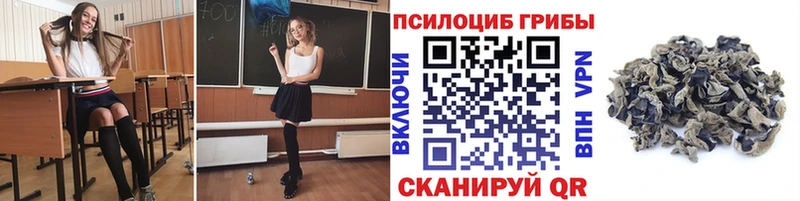 ссылка на мегу зеркало  купить наркотики цена  это состав  Псилоцибиновые грибы GOLDEN TEACHER  Высоцк 